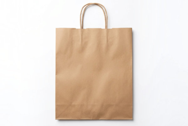 Sac papier anses torsadées à plat